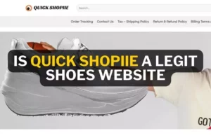 An image with words which ask if whether Quickshopiie is fake or real.